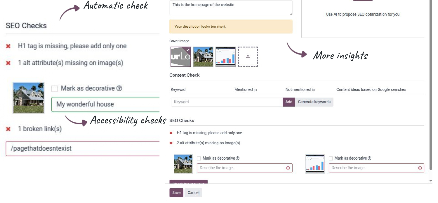 odoo website seo check